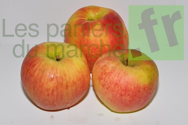 Pomme : Reine des Reinettes - 1 kg