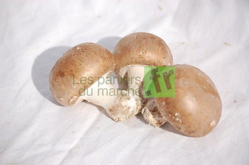 Champignons de Paris blonds - 500 g