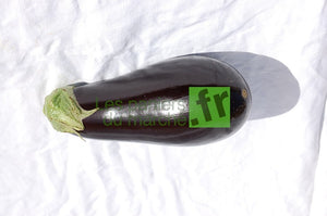 Aubergines violettes - 500 g
