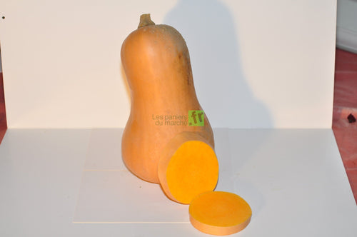 Courge butternut (moyenne) - pièce 1,8 à 2 kg