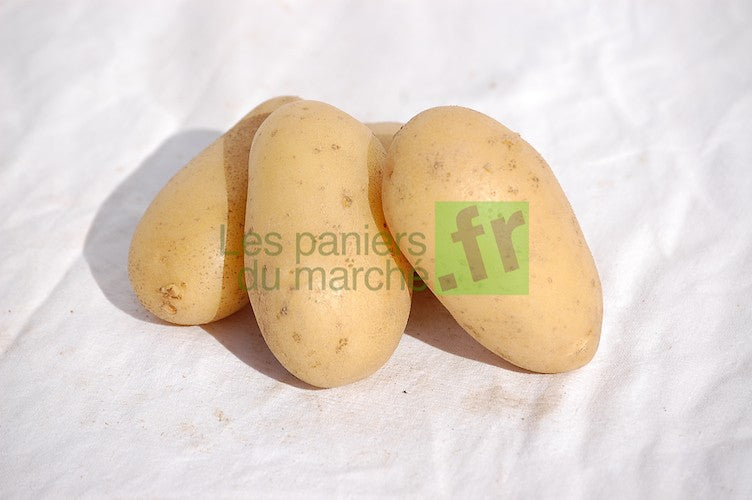 Pommes de terre : Amandine (ou Pépite) - 3 kg