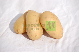 Pommes de terre : Amandine (ou Pépite) -1kg