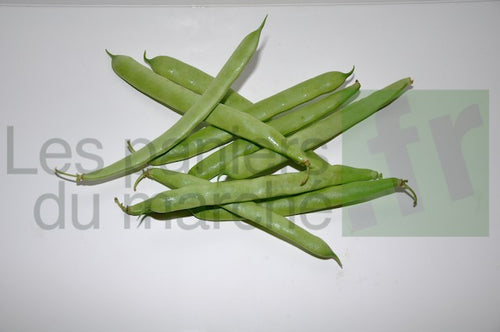 Haricots plats - 500 g
