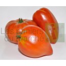 Tomates anciennes : mélange découverte - 2kg