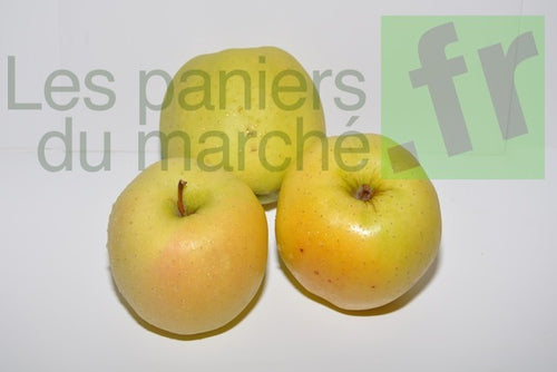Pomme : Golden - 3kg