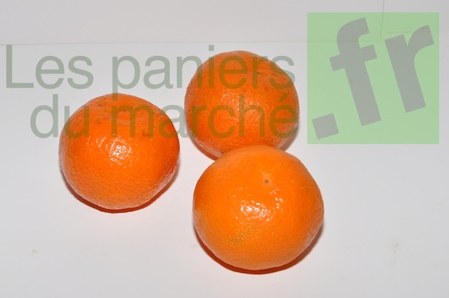 Clémentines - lot de 2 kg