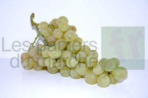 Raisin Italia - 1 kg