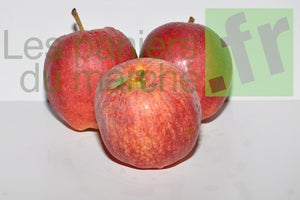 Pomme : Royal Gala - 1kg