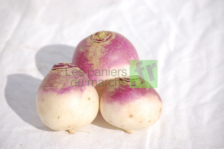 Navets violets - 1 kg
