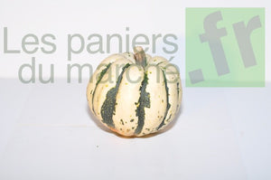 Courge châtaigne - lot de 3