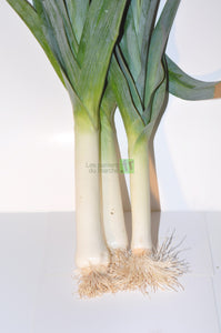 Poireaux - 500 g