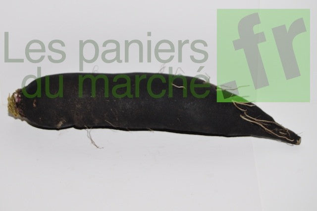 Radis noir long - 500 g