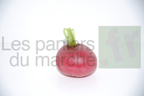 Radis rose rond ou long - 500 g