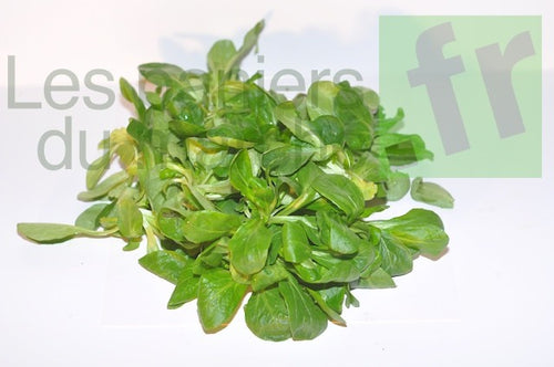 Mâche - 200 g