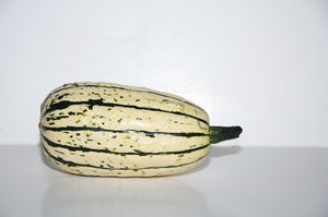 Courge délicata