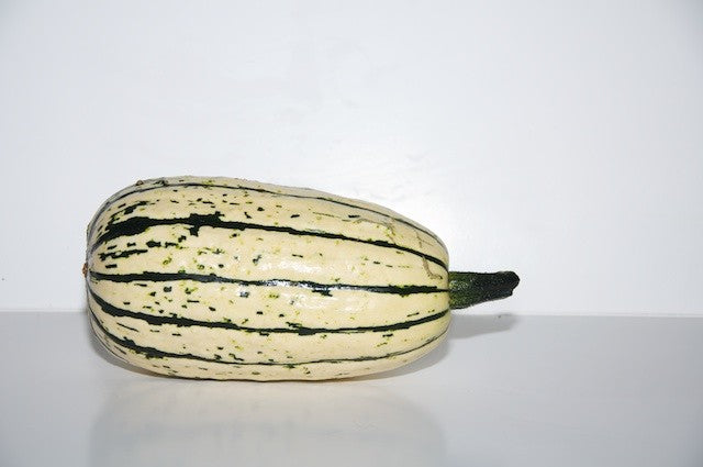 Courge délicata