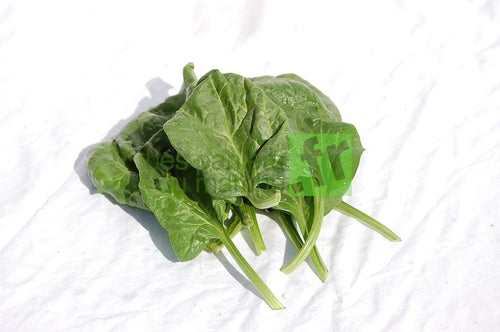 Epinards - 1 kg