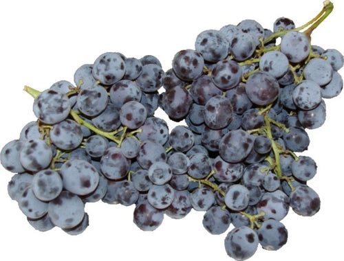 Raisin Muscat - 1 kg