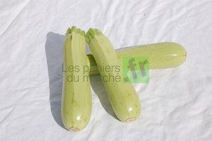 Courgettes blanches - 1 kg