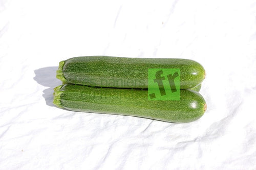 Courgettes vertes - 2 kg