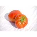 Tomates rondes - 500g
