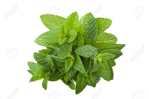 Menthe
