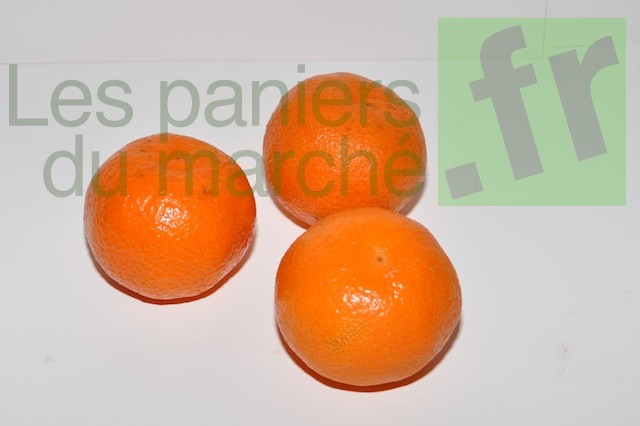 Mandarines - 2 kg