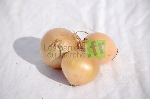 Oignons jaunes - 500 g