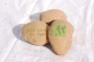 Pommes de terre : Spunta (ou Agata) 5 kg