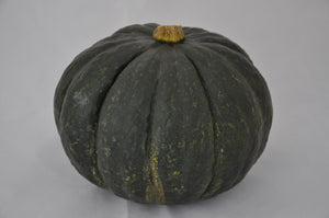 Courge shiatsu - environ 2kg à 2.3kg