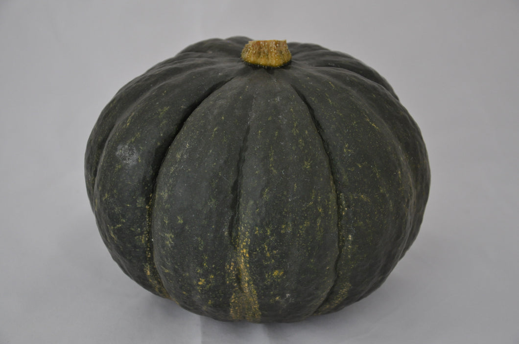 Courge shiatsu - environ 2kg à 2.3kg