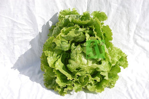 Salades en mélange - PROMO - lot de 3