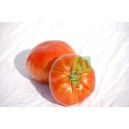 Tomates rondes - 1 kg