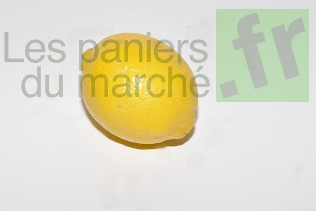 Citrons - lot de 3 ou 4