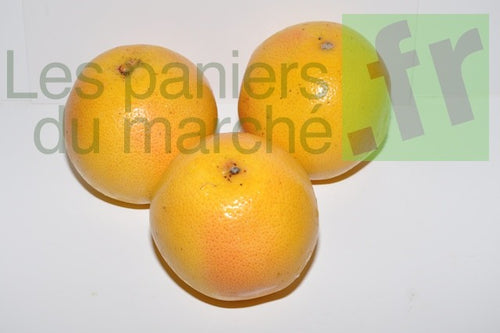 Pomélos - lot de 3