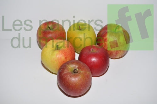 Pommes : mélange - 3kg