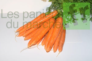 Carottes botte