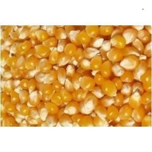 Maïs à pop corn - 500g