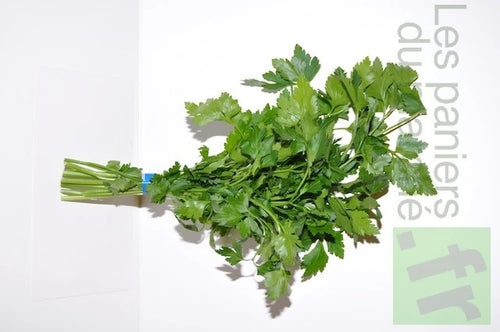 Persil plat