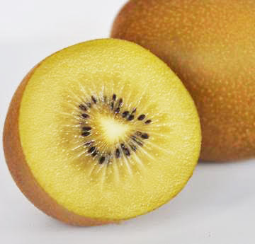 Kiwi sun jaune - pièce
